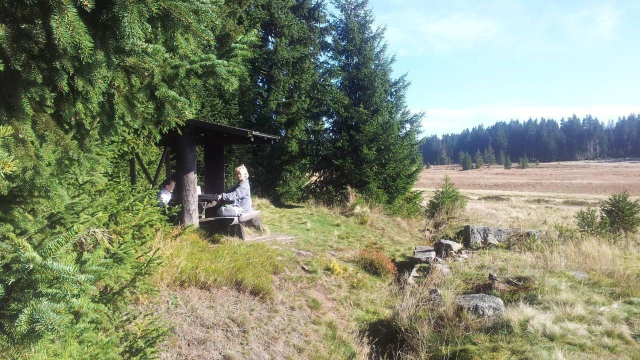Rastplatz Hochmoor Großer Kranichsee (ca. 1,5 h Fußweg, Böhmen) Rastplatz Hochmoor Großer Kranichsee (ca. 1,5 h Fußweg, Böhmen)